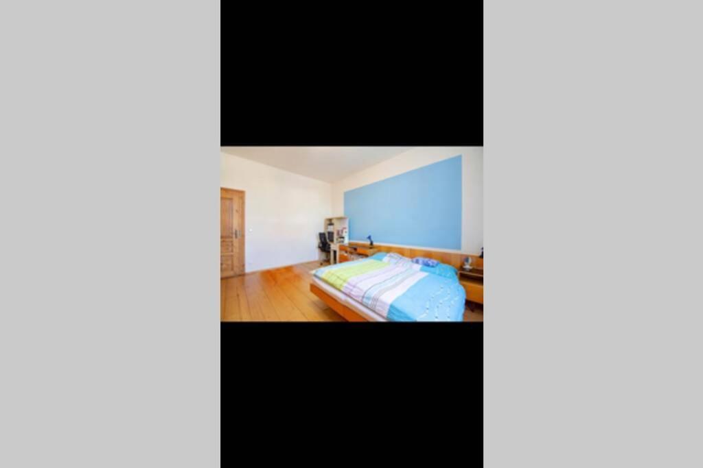 Horní Planá Zamecky Apartman V Horni Plane מראה חיצוני תמונה